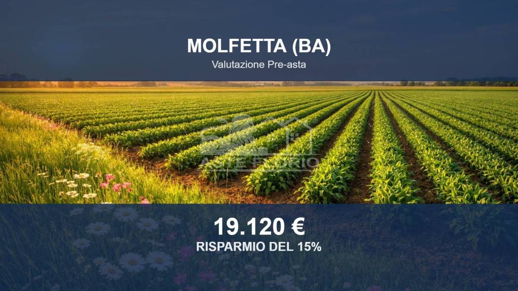 terreno agricolo in vendita a Molfetta