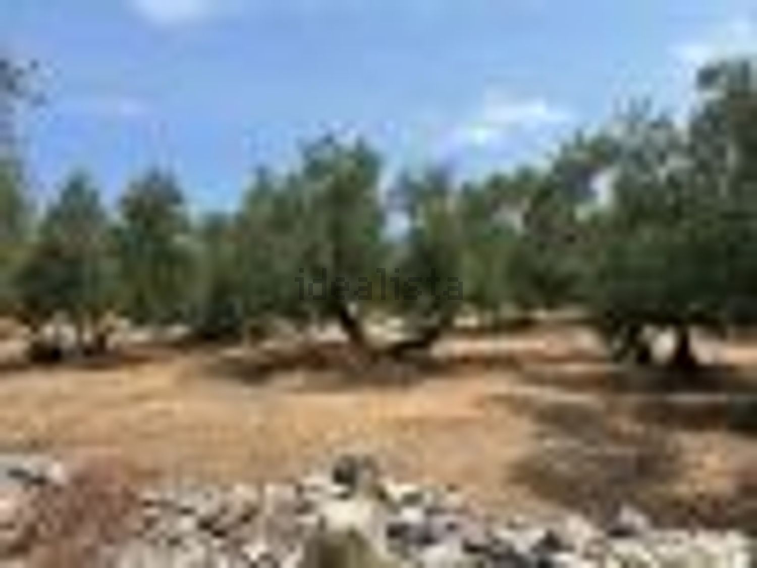 terreno in vendita a Molfetta