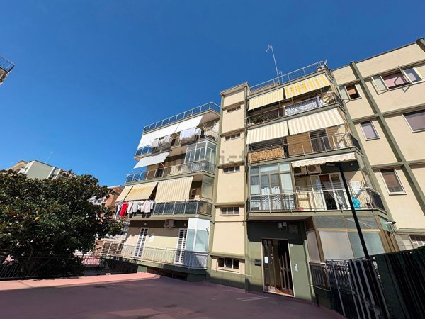 appartamento in vendita a Molfetta