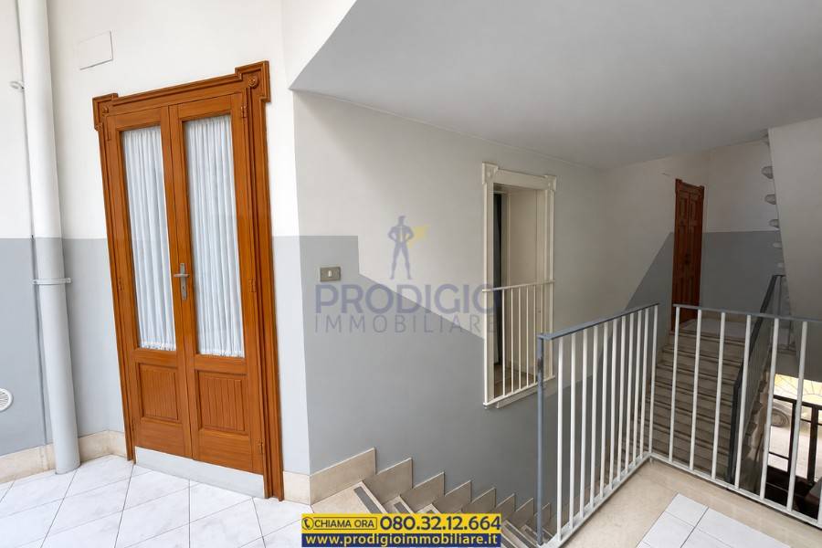immagine annuncio 0 di 15