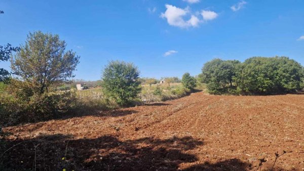 terreno agricolo in vendita a Monopoli