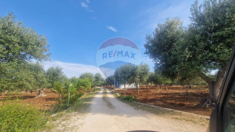 appartamento in vendita a Monopoli in zona Caramanna
