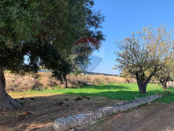terreno agricolo in vendita a Monopoli