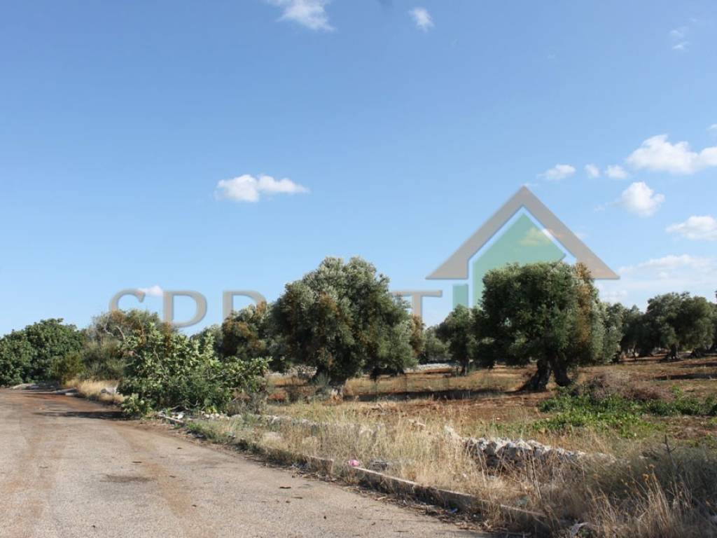 terreno agricolo in vendita a Monopoli
