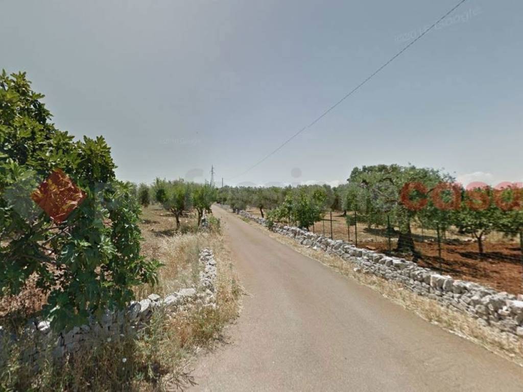 terreno agricolo in vendita a Monopoli in zona Cozzana
