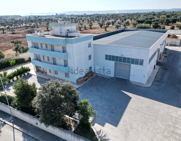 capannone in vendita a Monopoli