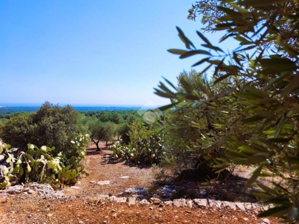 casa indipendente in vendita a Monopoli