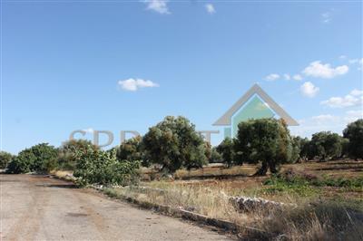terreno edificabile in vendita a Monopoli