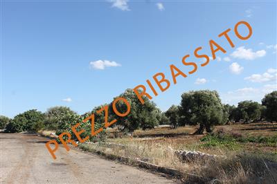 terreno edificabile in vendita a Monopoli