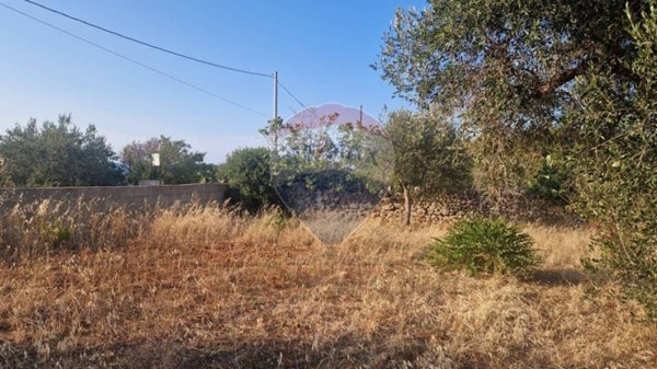 terreno agricolo in vendita a Monopoli
