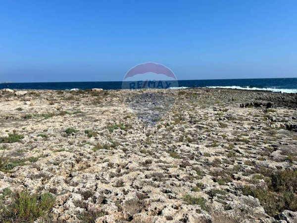terreno agricolo in vendita a Monopoli