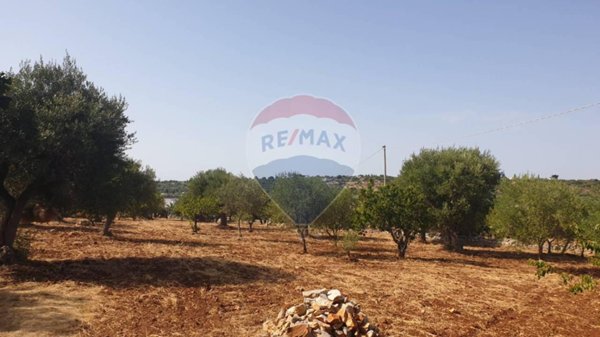 terreno agricolo in vendita a Monopoli in zona Cozzana