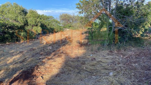 terreno agricolo in vendita a Monopoli
