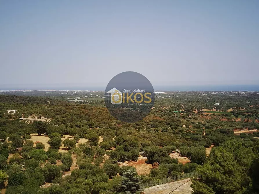 terreno agricolo in vendita a Monopoli