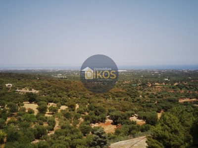 terreno agricolo in vendita a Monopoli