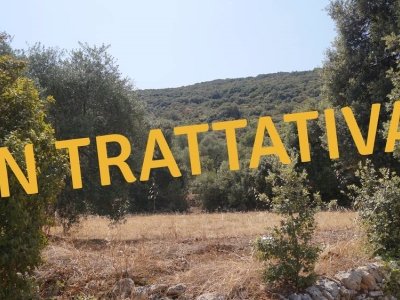 terreno agricolo in vendita a Monopoli