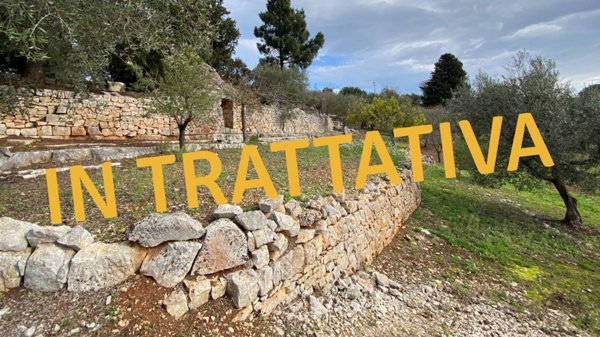 terreno agricolo in vendita a Monopoli