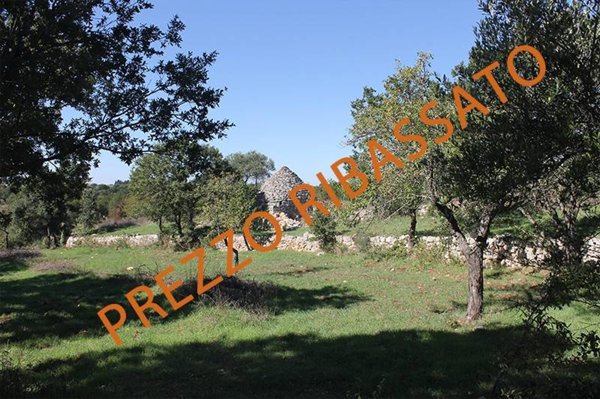 appartamento in vendita a Monopoli