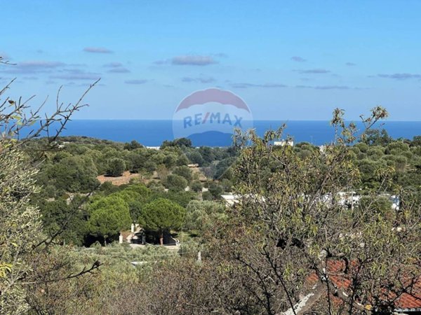 terreno agricolo in vendita a Monopoli in zona Cozzana
