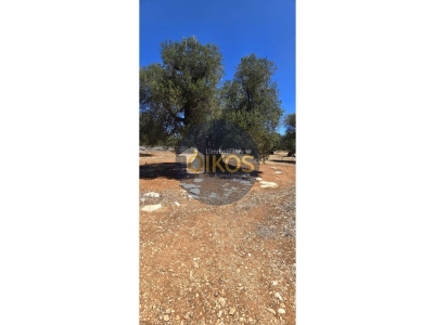casa indipendente in vendita a Monopoli
