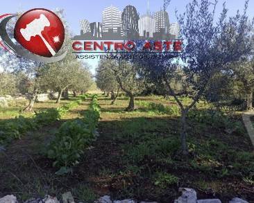 casa indipendente in vendita a Monopoli