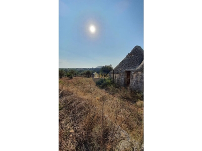 terreno agricolo in vendita a Monopoli