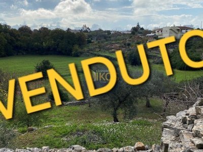 terreno agricolo in vendita a Monopoli