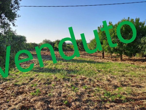 terreno agricolo in vendita a Monopoli
