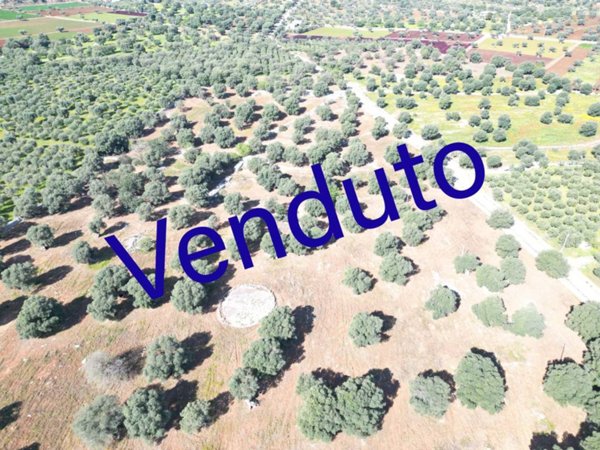 terreno agricolo in vendita a Monopoli