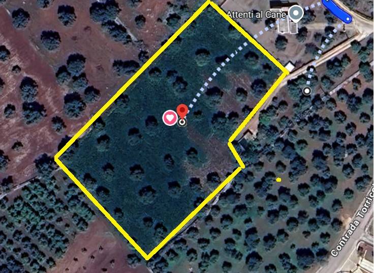 terreno agricolo in vendita a Monopoli