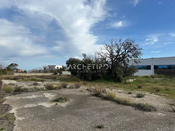 terreno agricolo in vendita a Monopoli