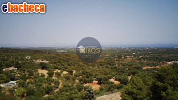 terreno agricolo in vendita a Monopoli