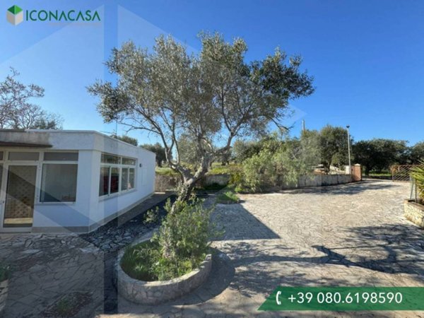 casa indipendente in vendita a Monopoli