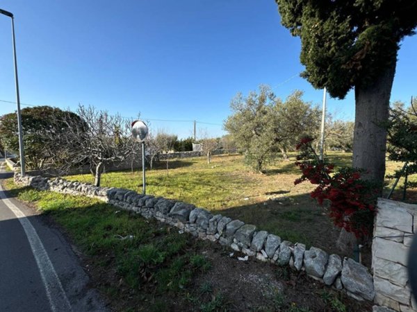 terreno agricolo in vendita a Monopoli