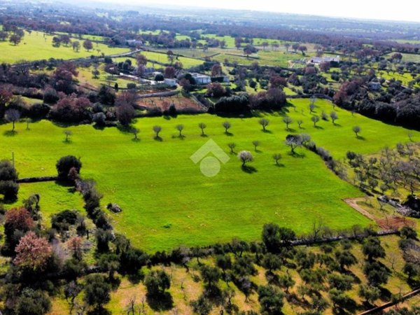 terreno agricolo in vendita a Monopoli