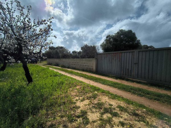 terreno agricolo in vendita a Monopoli