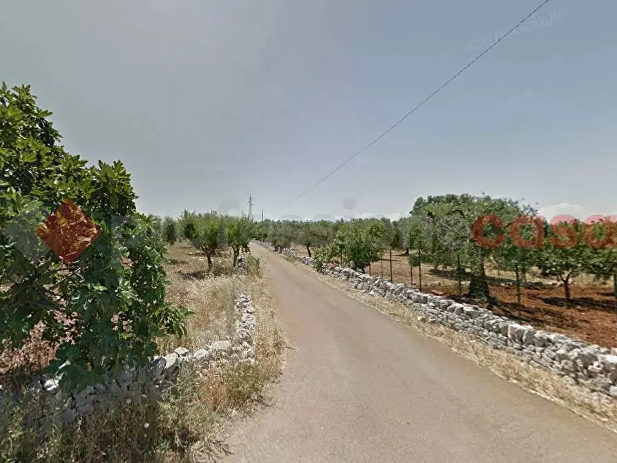 terreno agricolo in vendita a Monopoli in zona Cozzana