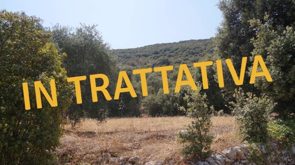 terreno agricolo in vendita a Monopoli