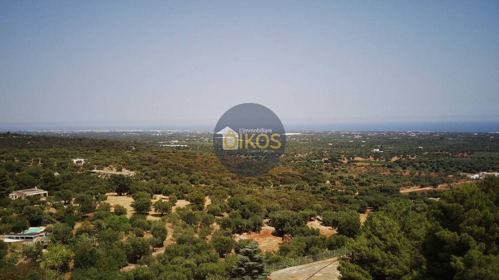 terreno agricolo in vendita a Monopoli