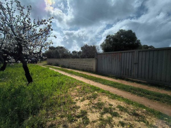 terreno agricolo in vendita a Monopoli