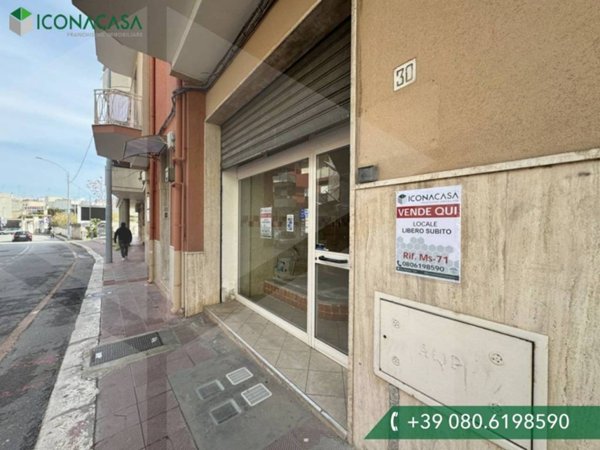 appartamento in vendita a Monopoli