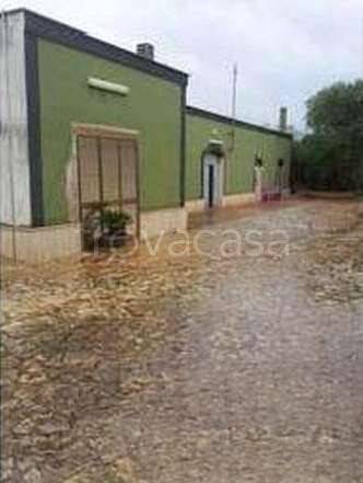 appartamento in vendita a Monopoli