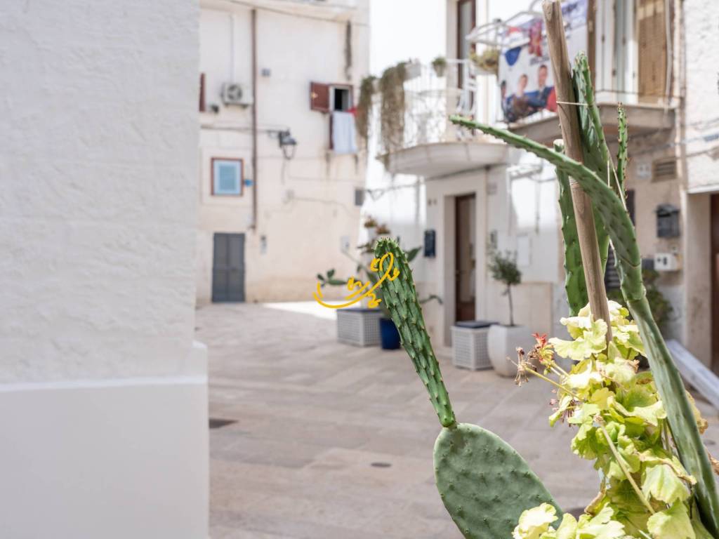 appartamento in vendita a Monopoli in zona Centro Storico