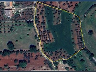 terreno agricolo in vendita a Monopoli
