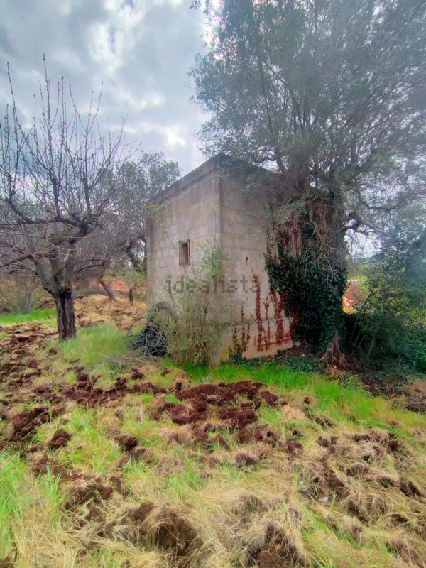 appartamento in vendita a Monopoli