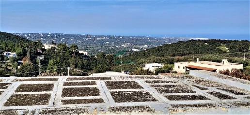 casa indipendente in vendita a Monopoli