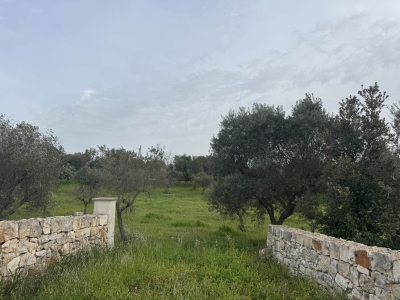 terreno edificabile in vendita a Monopoli