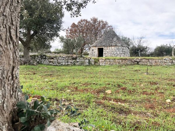 terreno agricolo in vendita a Monopoli