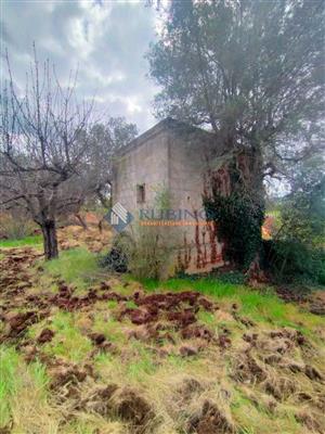 casa indipendente in vendita a Monopoli