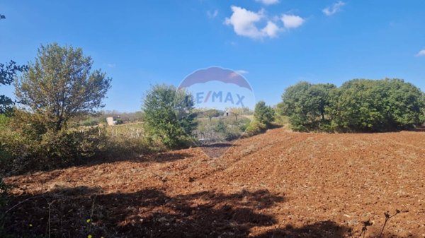 terreno agricolo in vendita a Monopoli
